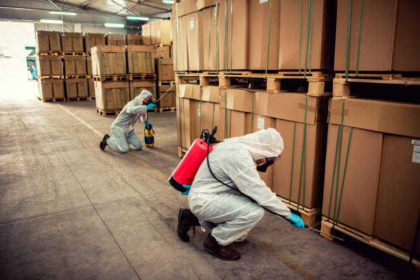 Best Local Pest Control Services  in Calverton Park, MO