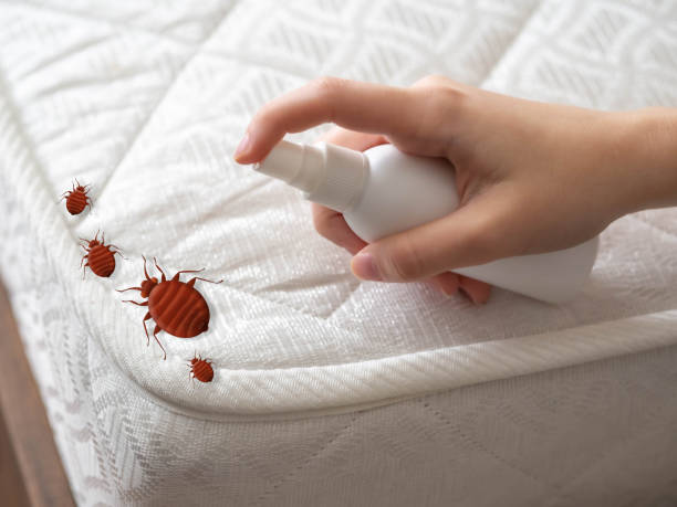 Best Pest Removal Services  in Calverton Park, MO